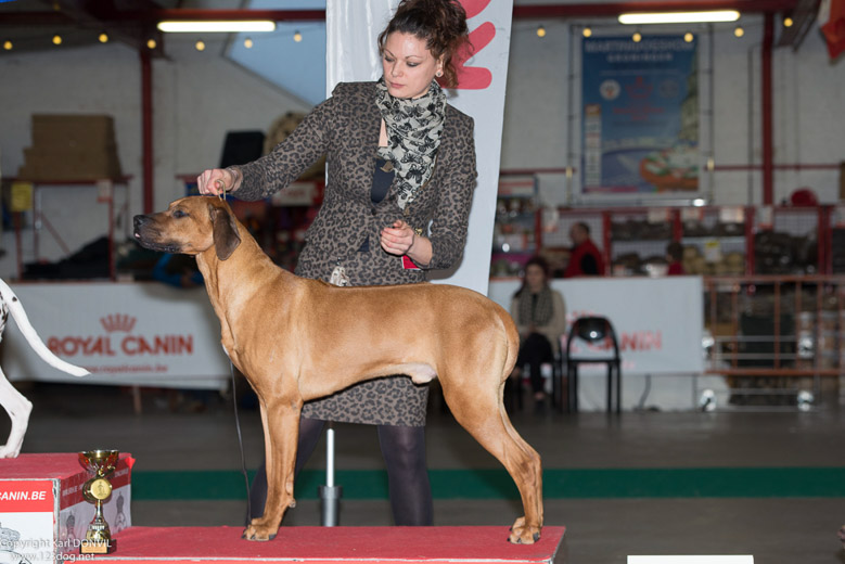 gal/Expo_janvier_2015/2015-02-27 13.31.54-4.jpg